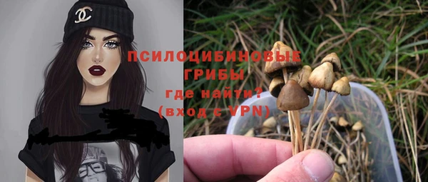 индика Белокуриха