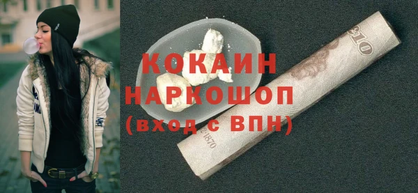 индика Верея