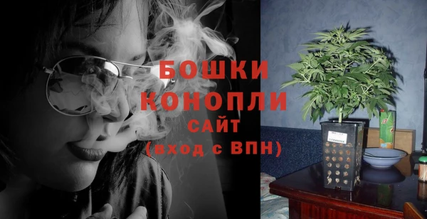 амф Богородицк