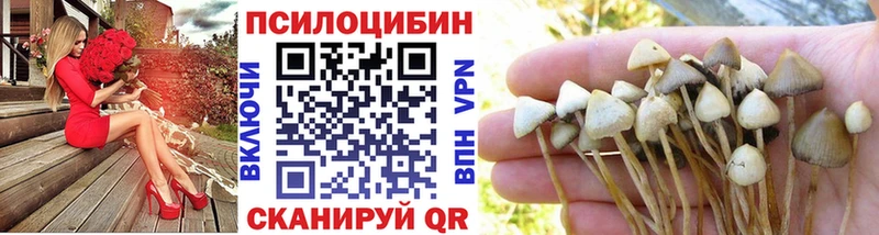 Псилоцибиновые грибы GOLDEN TEACHER  Видное 